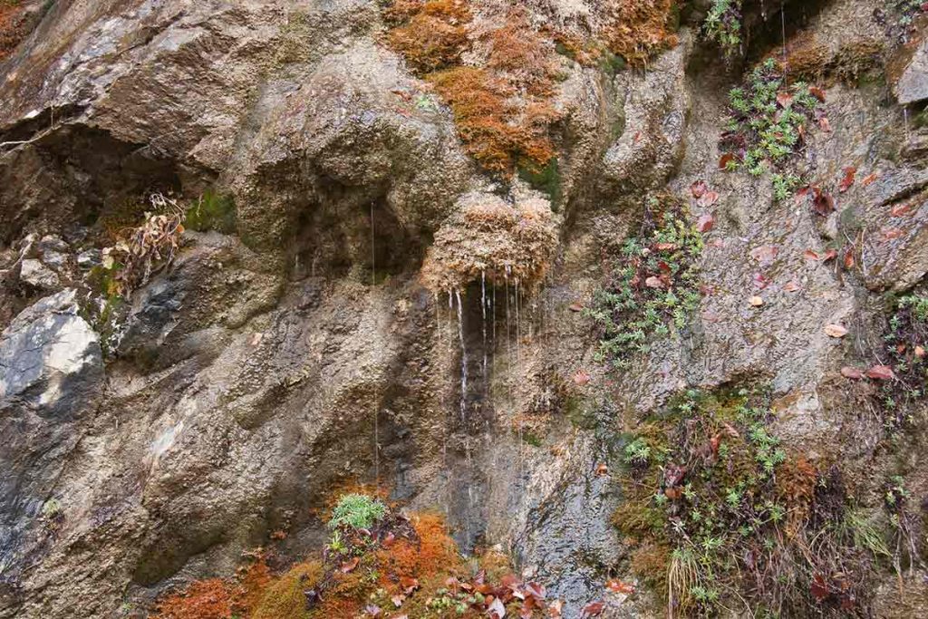 cascadas de agua en otoño