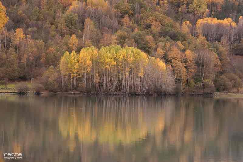 paisaje de otoño en un lago