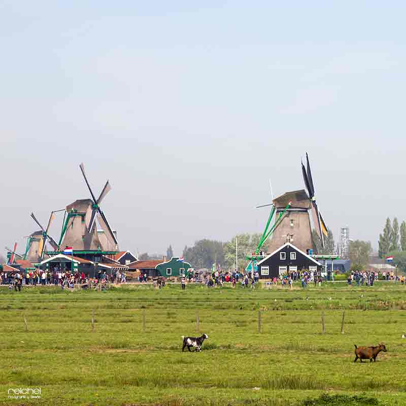 molinos de viente holandeses