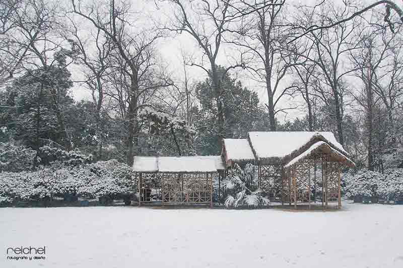 casa de maedra rodeada de nieve