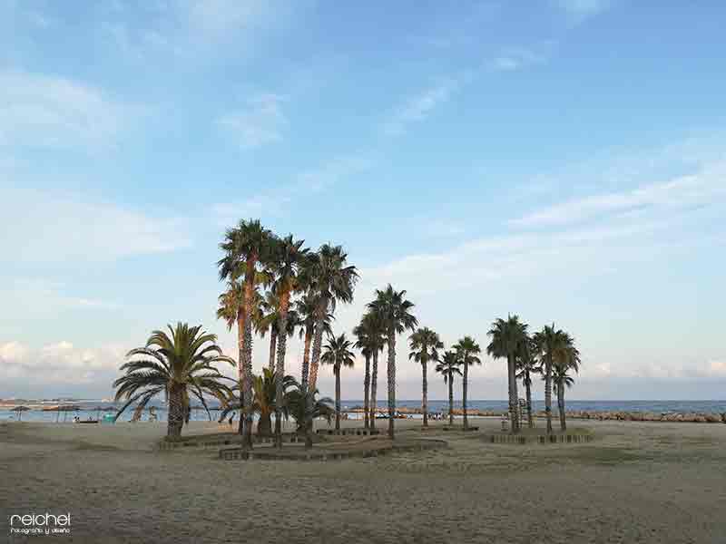 cielos azules en una playa con bonitas palmeras