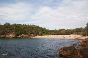 shelly beach manly