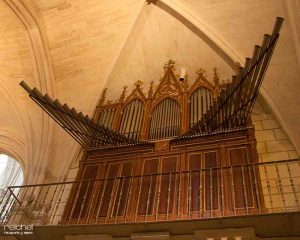 organo de la catedral de burgos