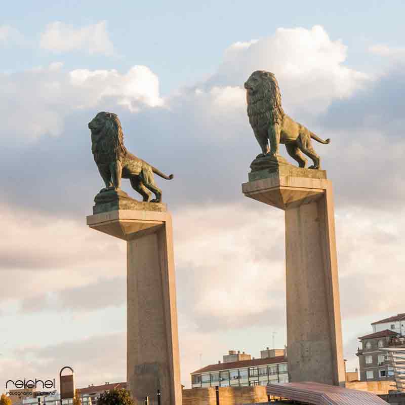 emblematicos leones del a ciudad de zaragoza